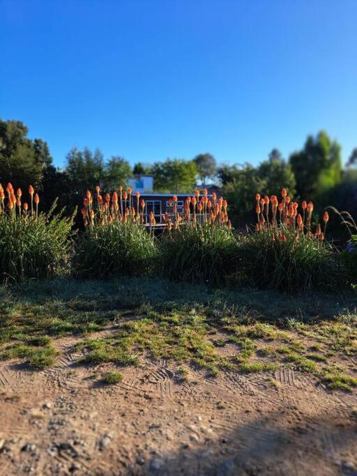 Cabana Cerca Del Aeropuerto Puerto Montt Luaran gambar